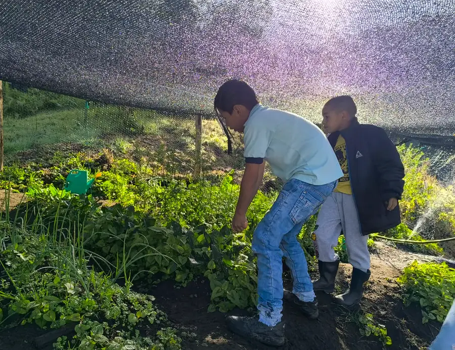 Dos niños riegan las plantas en la huerta escolar liderada por doña Ligia