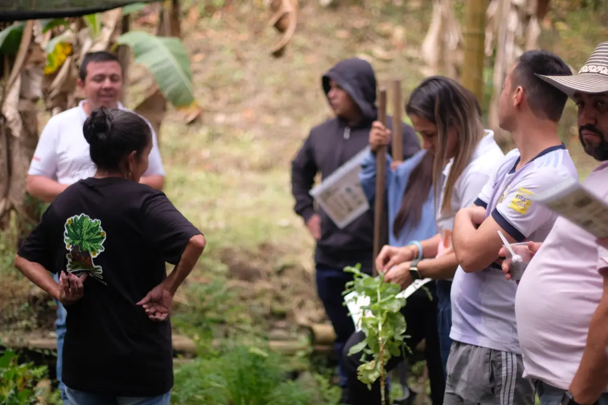 Doña Ligia comparte su saber con un grupo de voluntarios en la huerta de El Patio