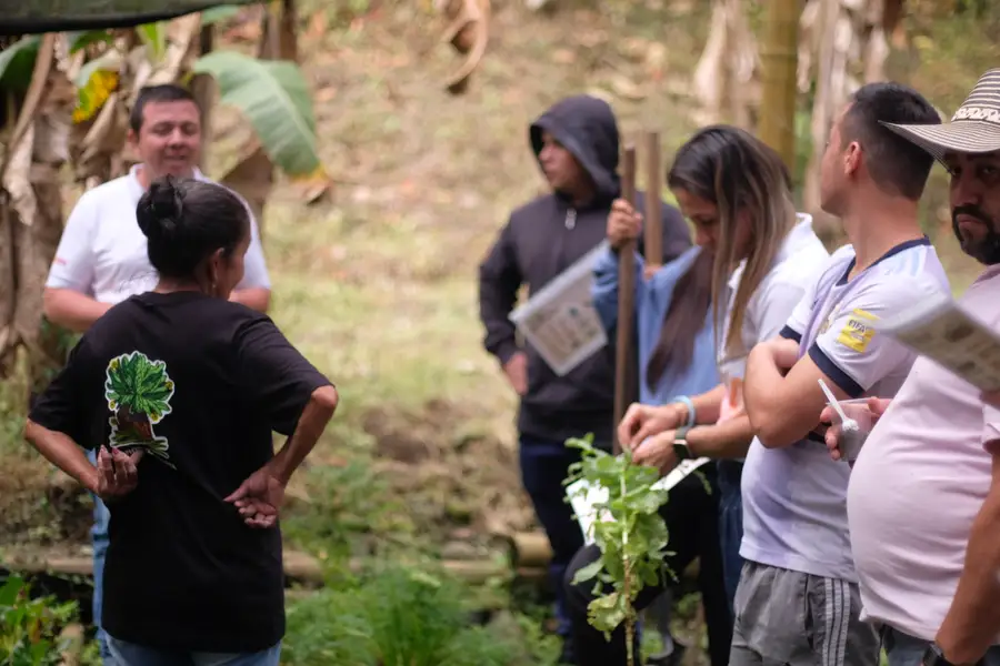Doña Ligia comparte su saber con voluntarios junto a las plántulas de la huerta