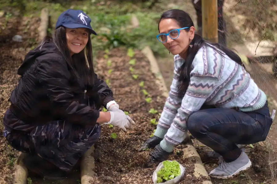 Dos voluntarias siembran lechugas en una cama de la huerta