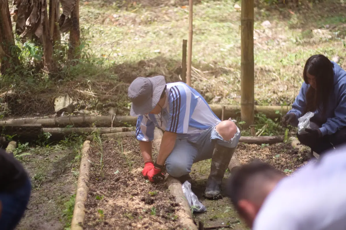 Voluntario agachado sembrando plántulas en la huerta de El Patio